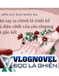 Nâng Niu Cáo Nhỏ Trong Lòng Bàn Tay