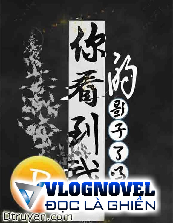 Ngươi Nhìn Thấy Bóng Dáng Của Ta Sao [Vô Hạn Lưu]